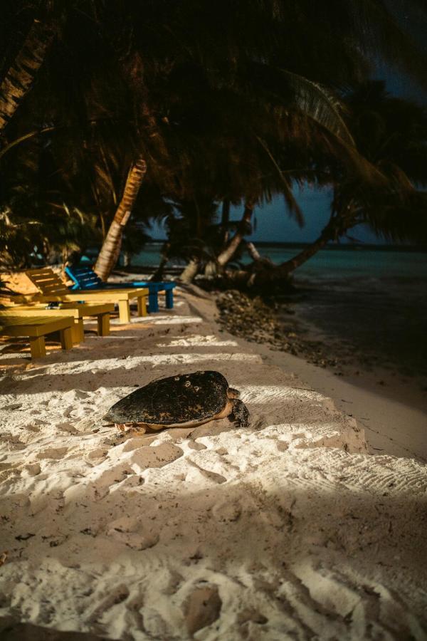 Ranguana Caye Cabanas Placencia ภายนอก รูปภาพ